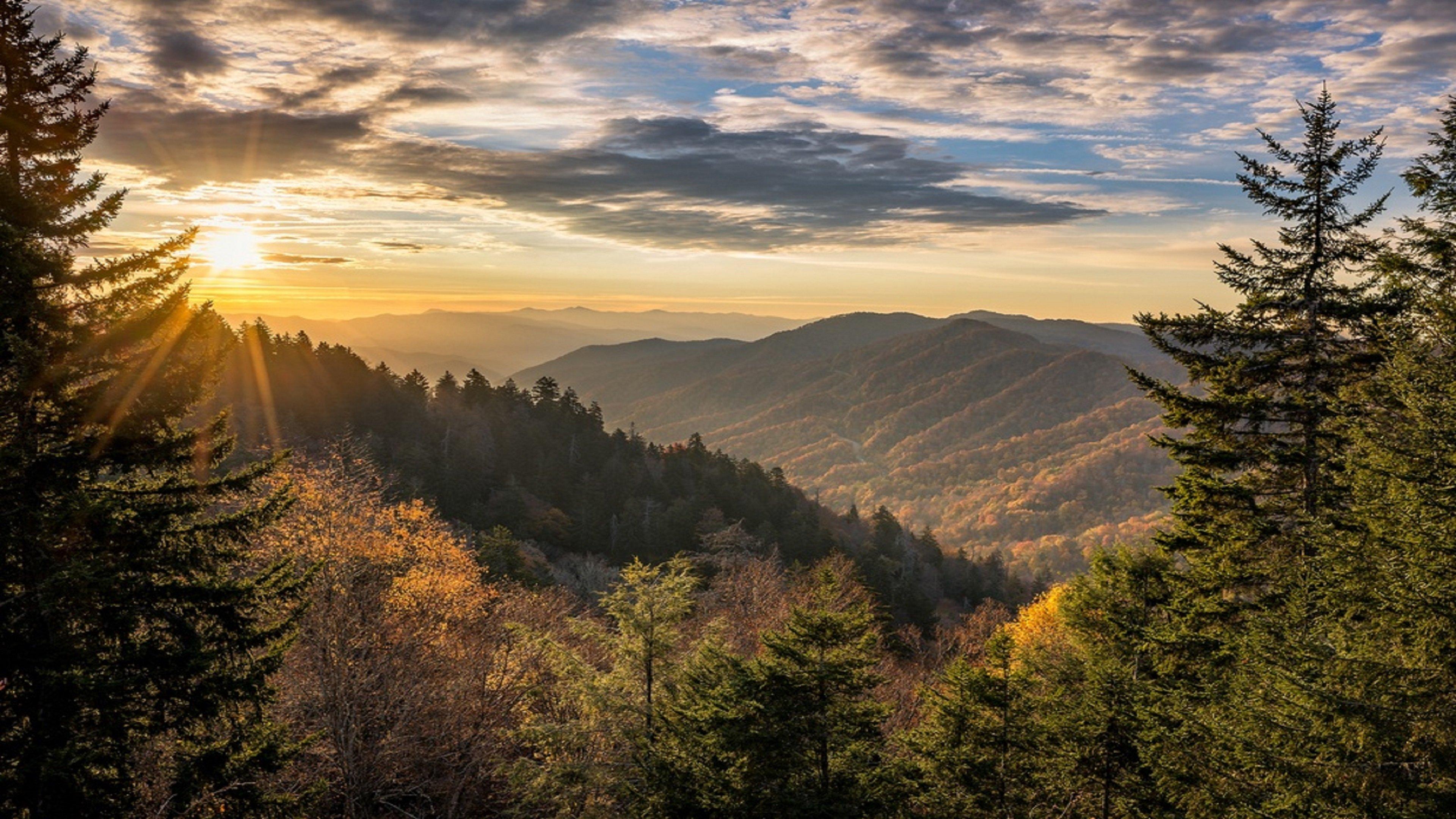 Sonesta Simply Suites Knoxville Dış mekan fotoğraf